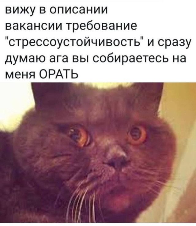 Когда хаос рождает красоту