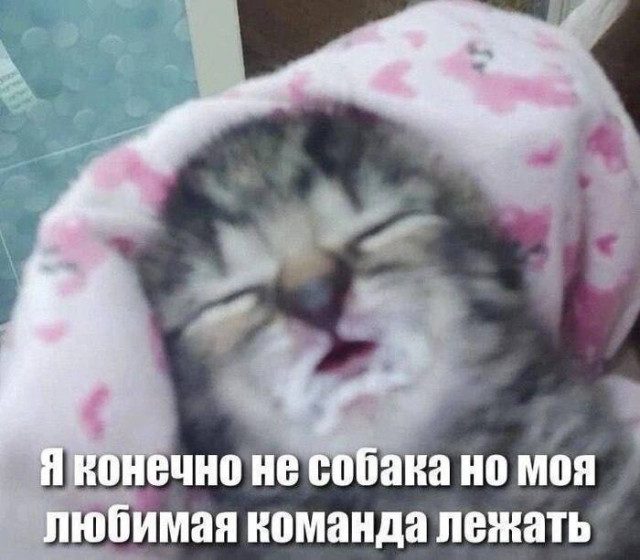 Когда хаос рождает красоту