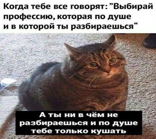 Когда хаос рождает красоту