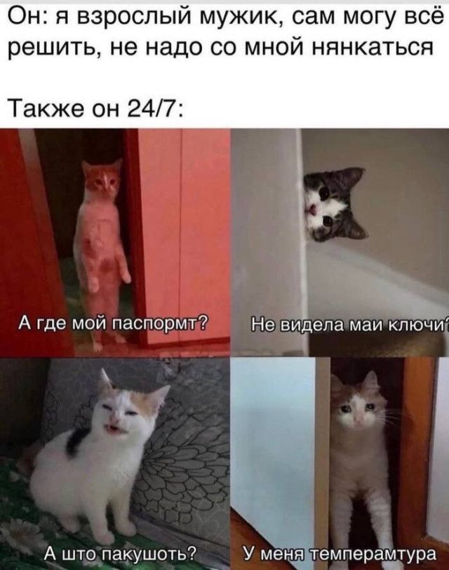 Когда хаос рождает красоту