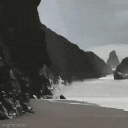 Забавные анимированные гифки для хорошего настроения