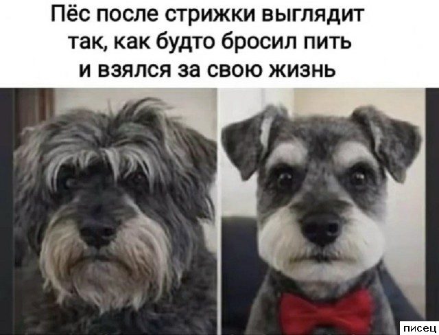 Случаи из жизни, которые лучше один раз увидеть