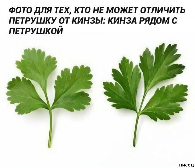 Случаи из жизни, которые лучше один раз увидеть