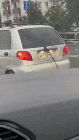 Забавные анимированные гифки для хорошего настроения