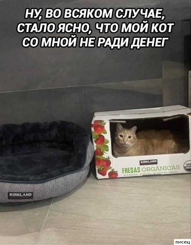 Случаи из жизни, которые лучше один раз увидеть