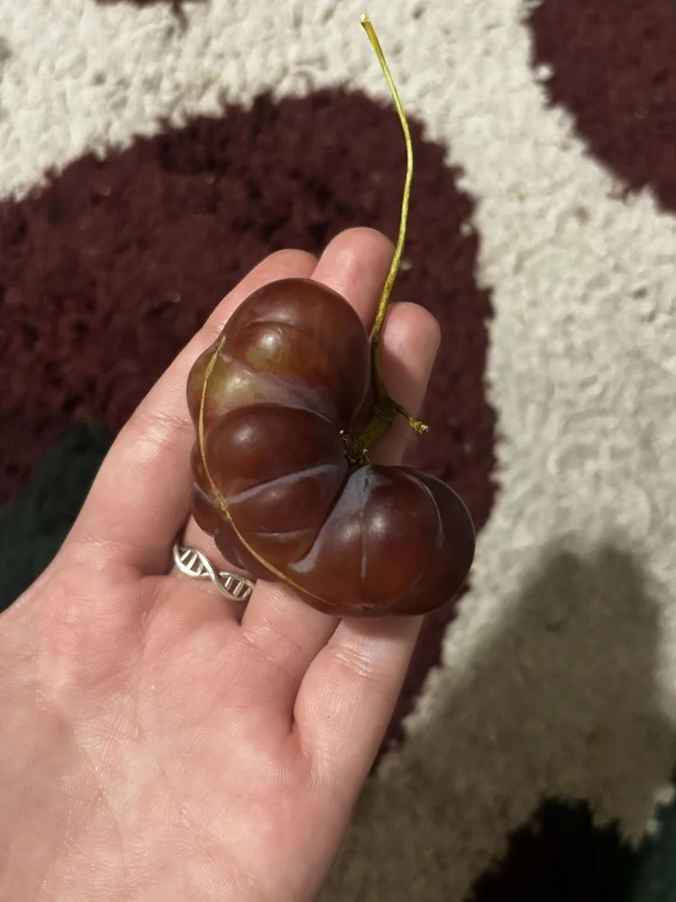 Мир полон сюрпризов: 17 фотографий, которые вас удивят